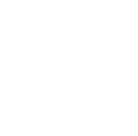 Luz Creative